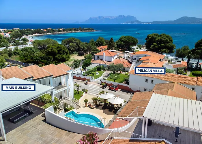 The Pelican Beach Resort & Spa - Adults Only